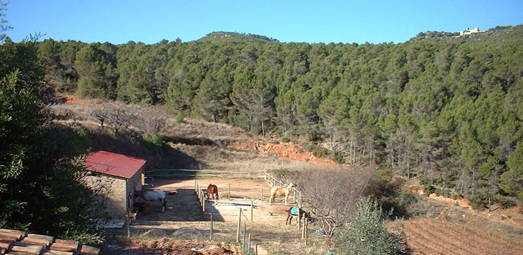 Vista panoramica con el Santuario de la Virgen de Foix al fondo 30-12-04