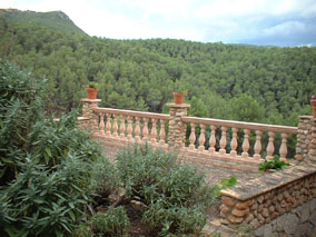 Terraza sobre el bosque